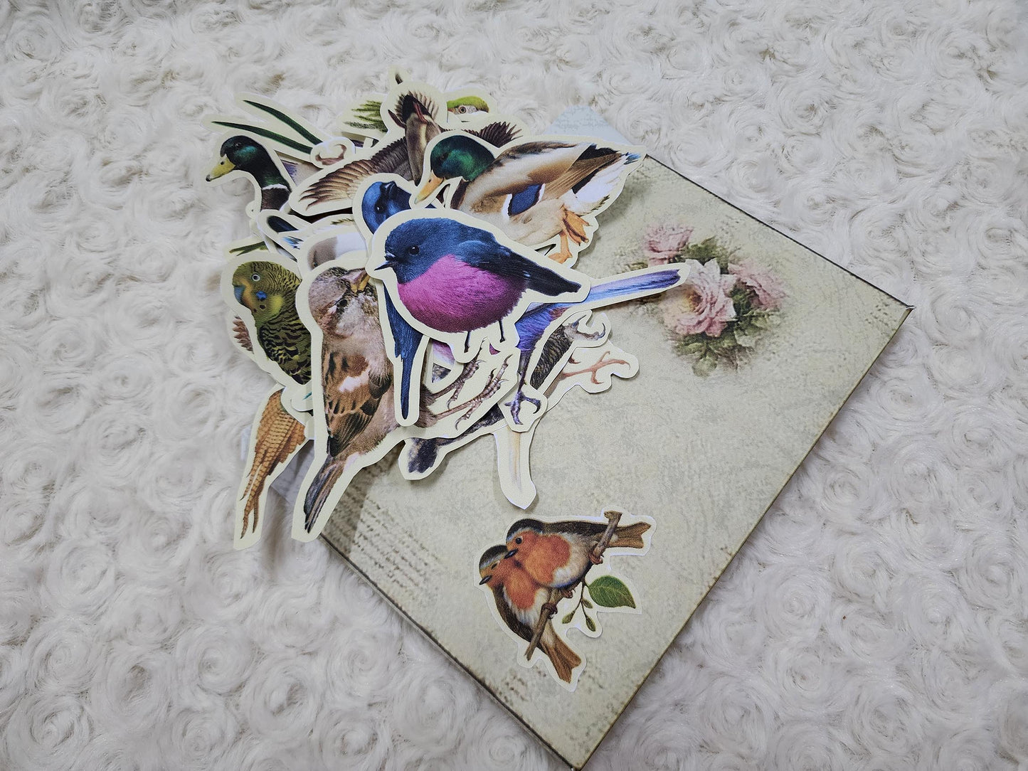 Large Birds Themed Ephemera Journals Stickers