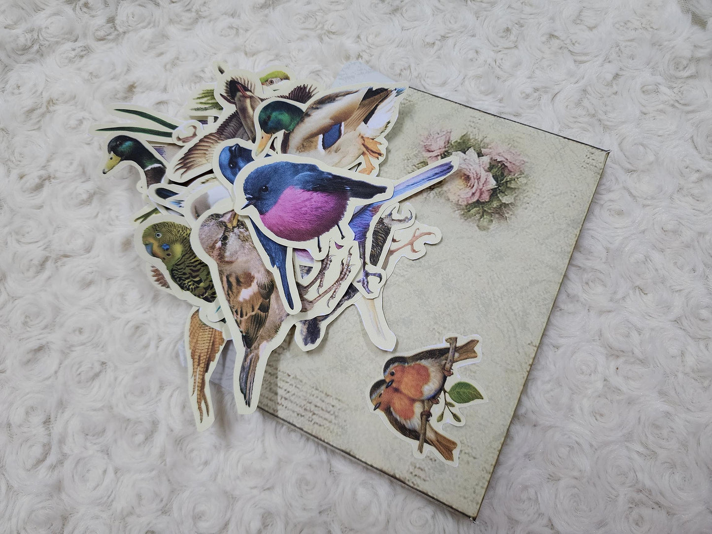 Large Birds Themed Ephemera Journals Stickers