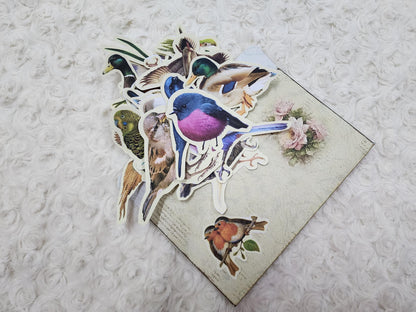 Large Birds Themed Ephemera Journals Stickers