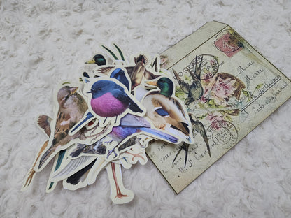 Large Birds Themed Ephemera Journals Stickers