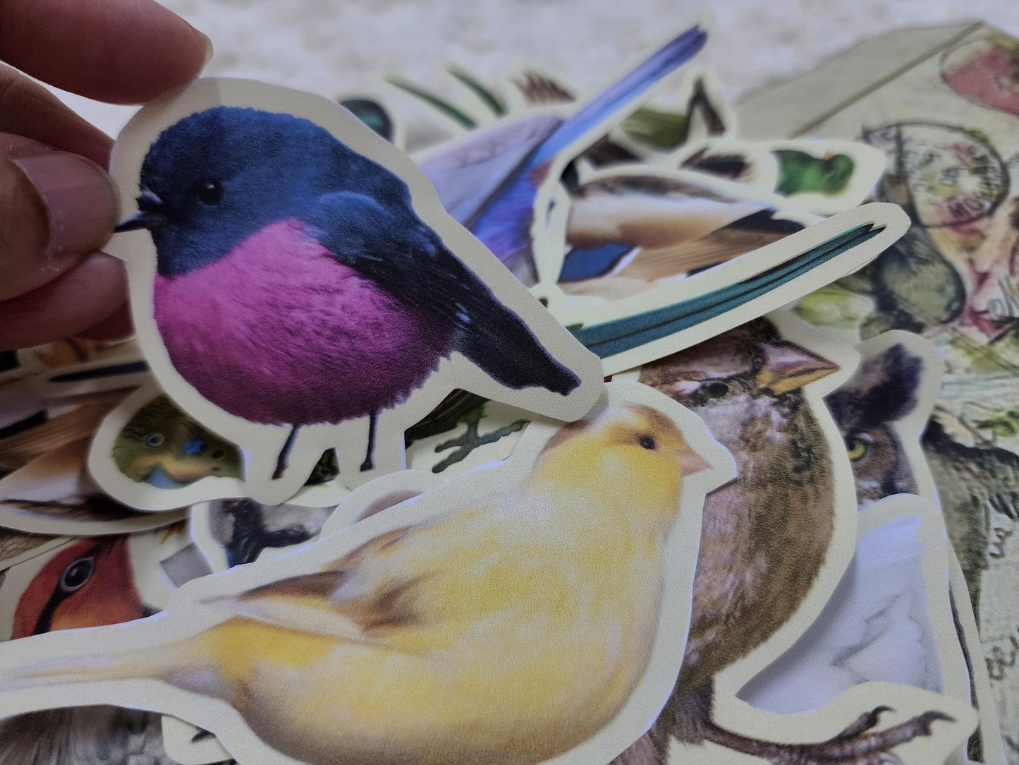 Large Birds Themed Ephemera Journals Stickers